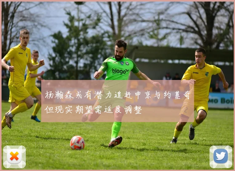 杨瀚森或有潜力追赶申京与约基奇但现实期望需适度调整